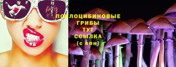 гидра Покровск