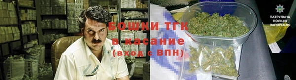 молекула духа Пестово