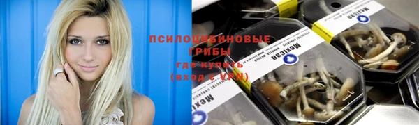 мяу мяу мука Покров