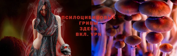 гидра Покровск