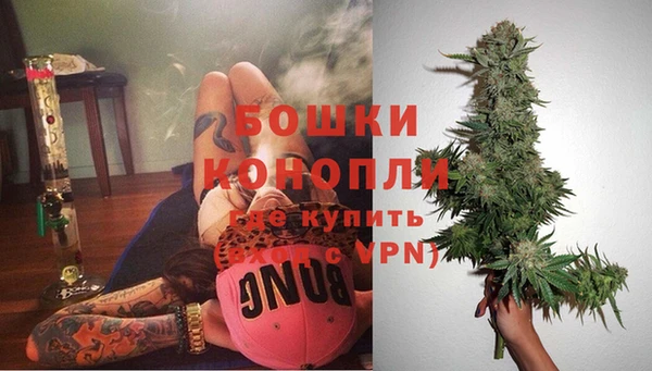 гидра Покровск