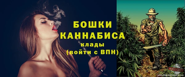 молекула духа Покачи