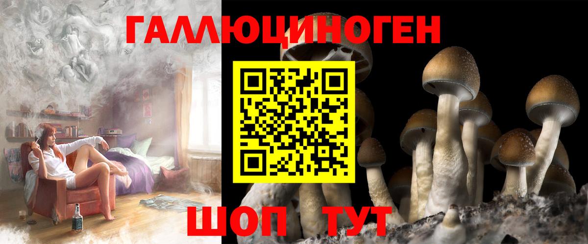 Псилоцибиновые грибы прущие грибы Белогорск